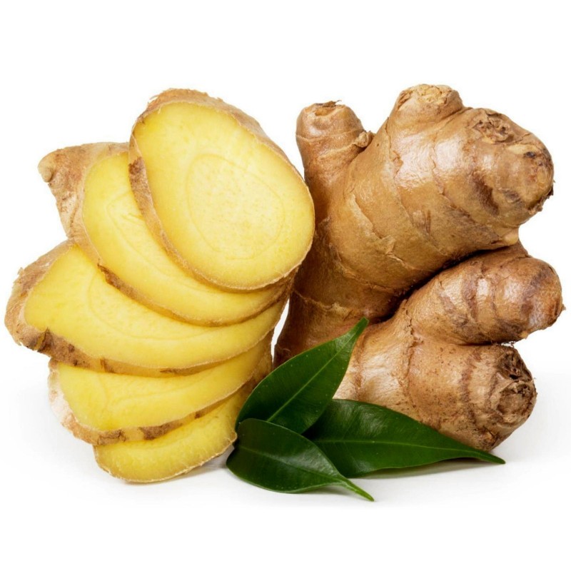 Ginger (Zingiber officinale)