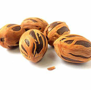 Nutmeg (Myristica fragrans)