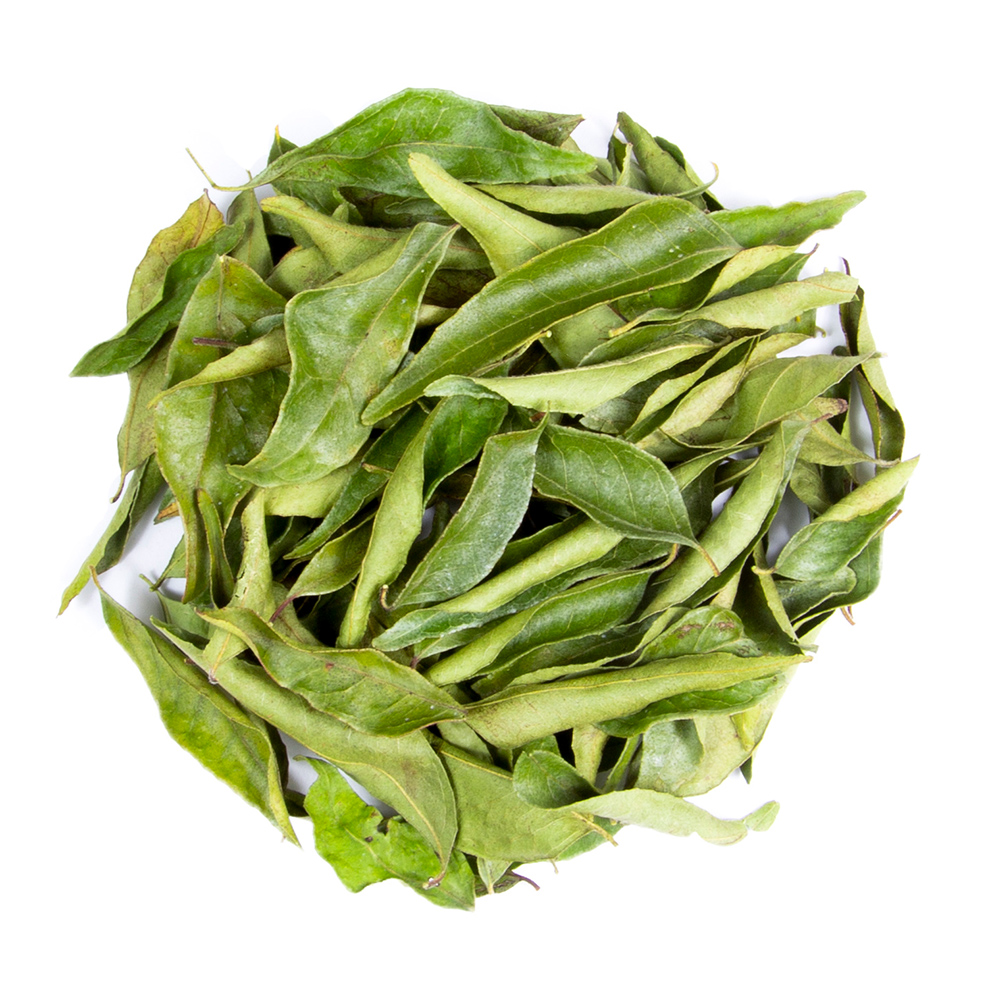 Curry Leaves (Murraya koenigii)