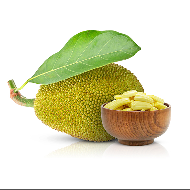 Jackfruit (Artocarpus heterophyllus)