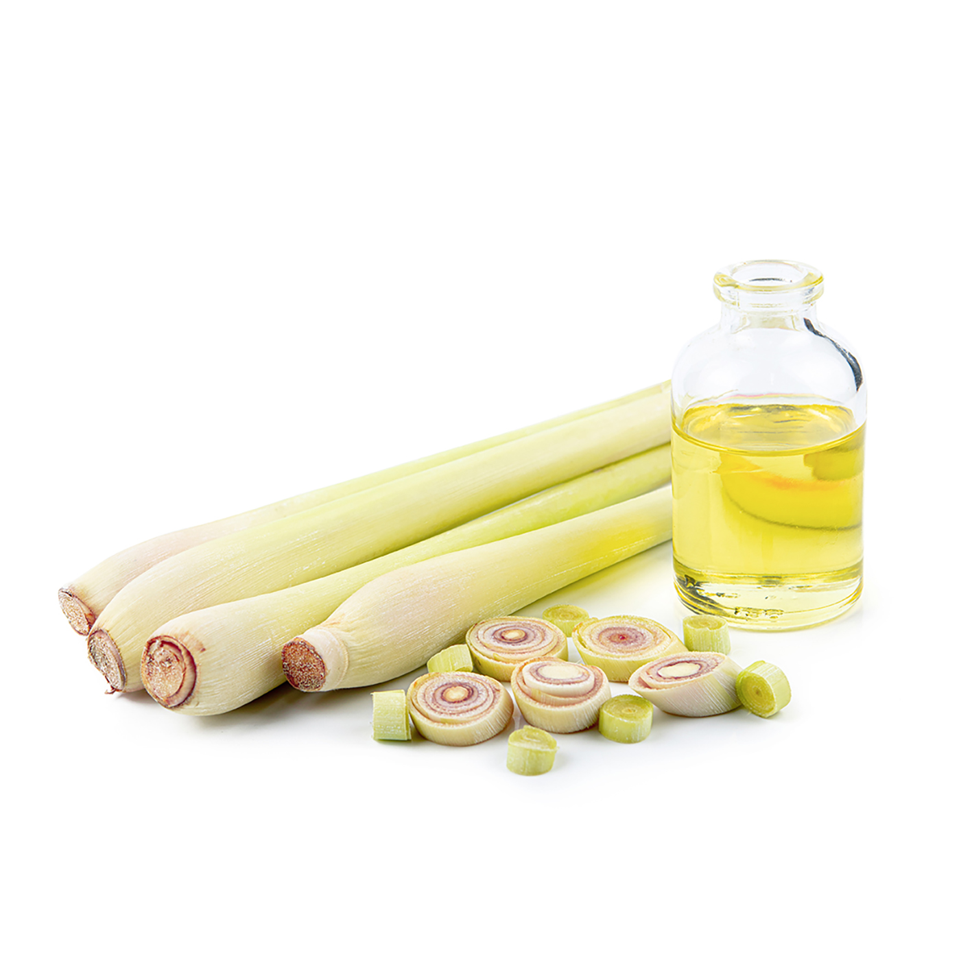 Citronella Oil