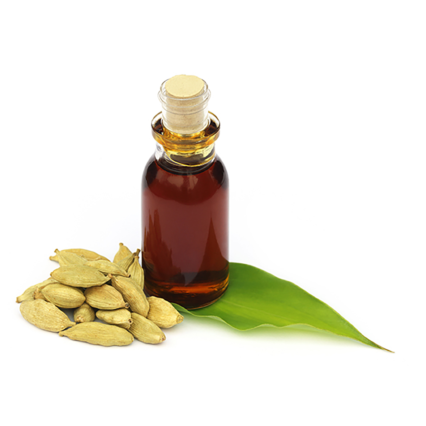 Cardamom Oil