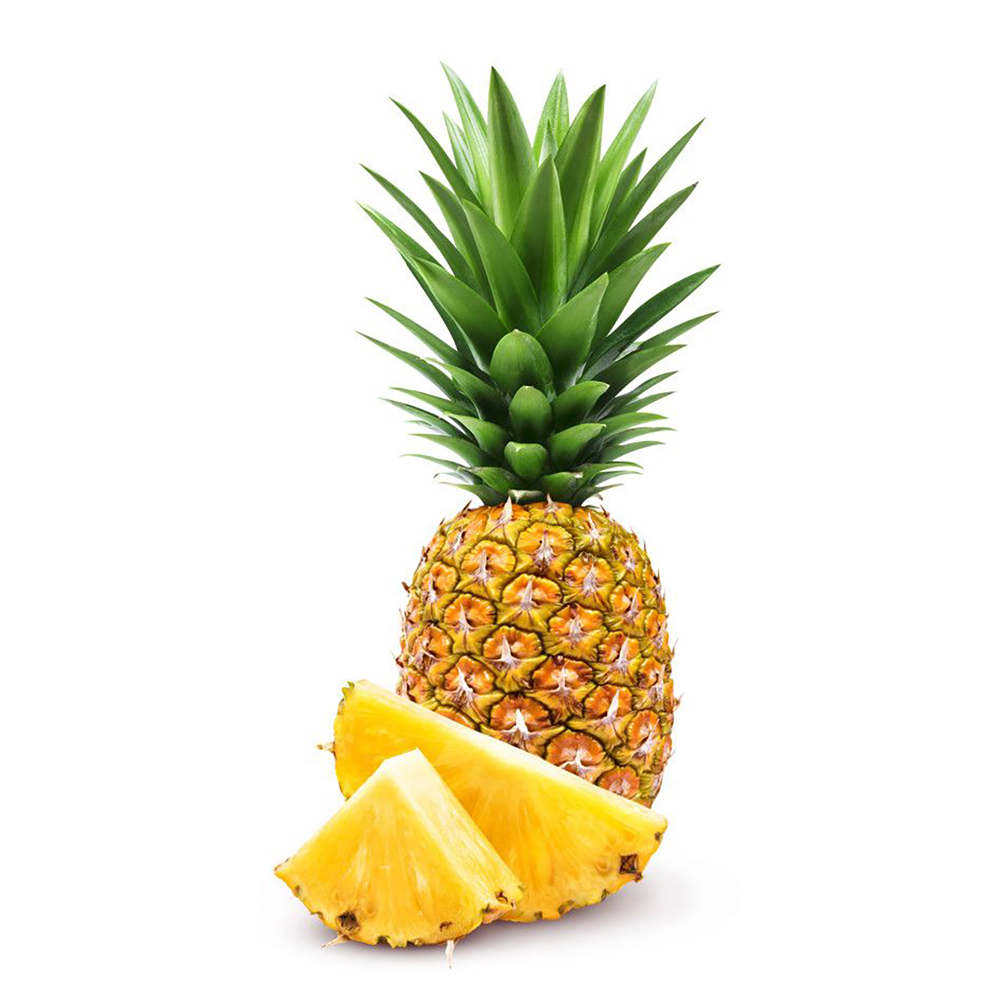 Pineapple (Ananas comosus)