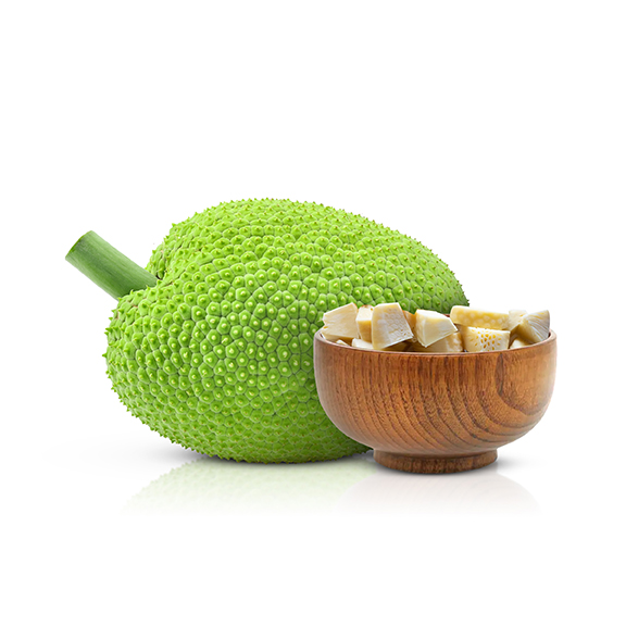 Breadfruit (Artocarpus altilis)